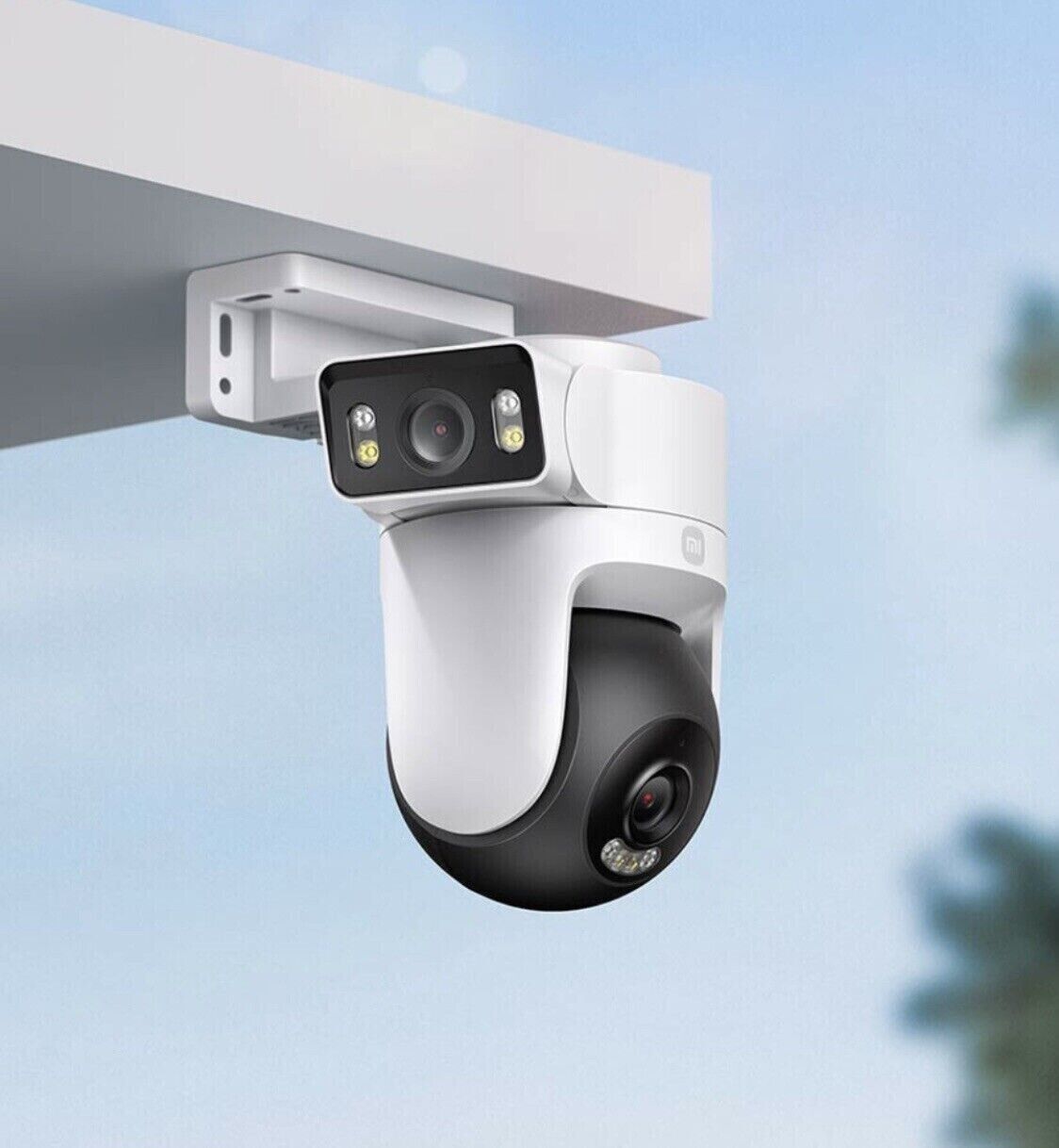 IP Cameras